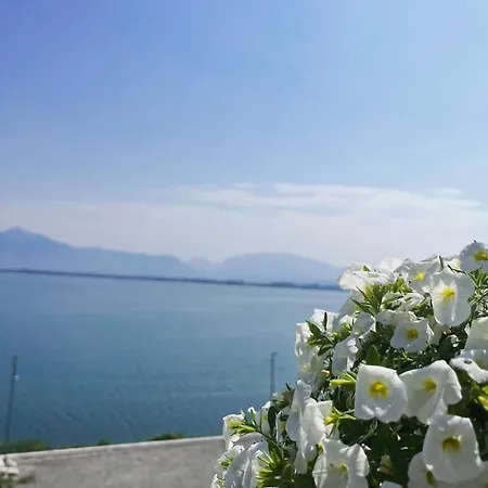 Lakefront House Guest house 4*